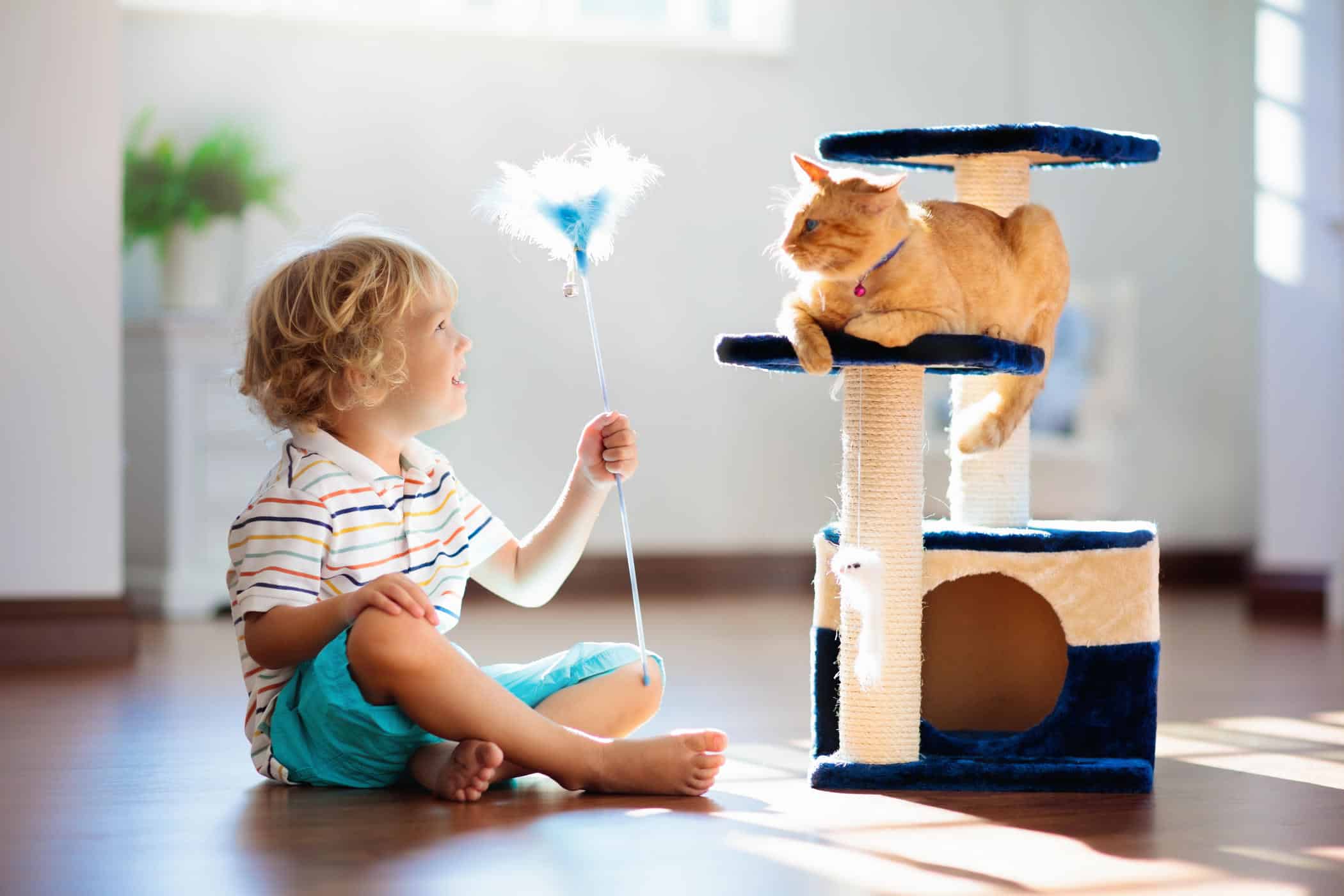 Nhập khẩu và phân phối Pet Food tại Việt Nam