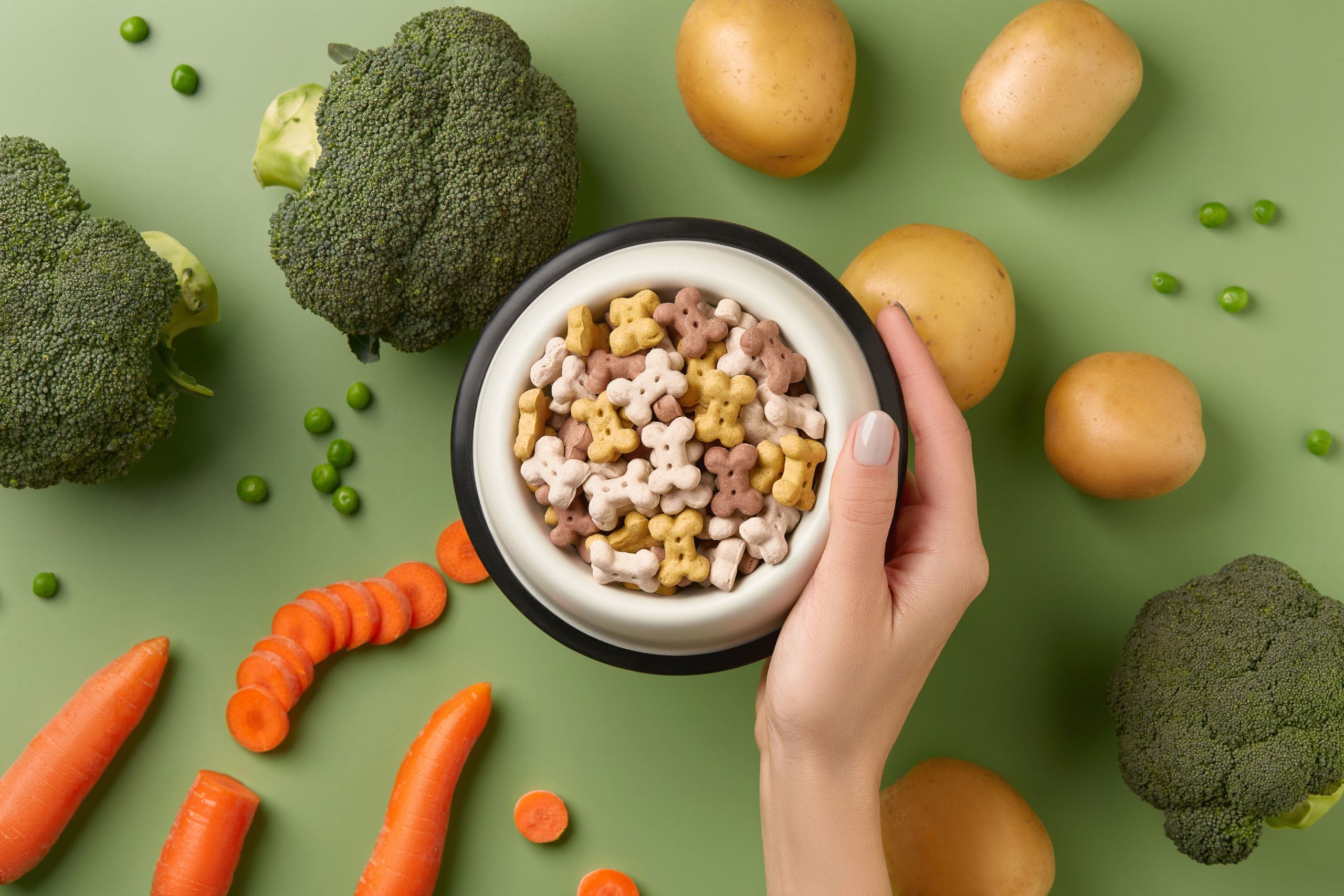 Điều kiện nhập khẩu Pet Food vào Việt Nam hiện nay