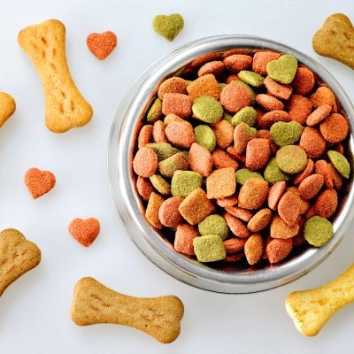 Dog food in the bowl and bone shaped biscuits