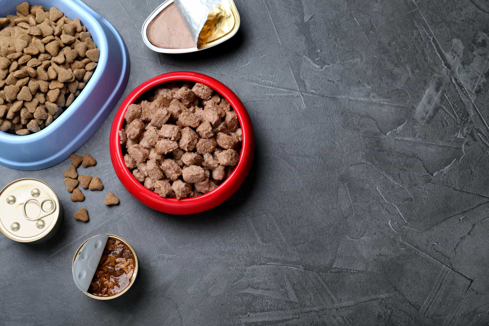 Nhập khẩu Pet Food trực tiếp hay qua trung gian bền vững hơn