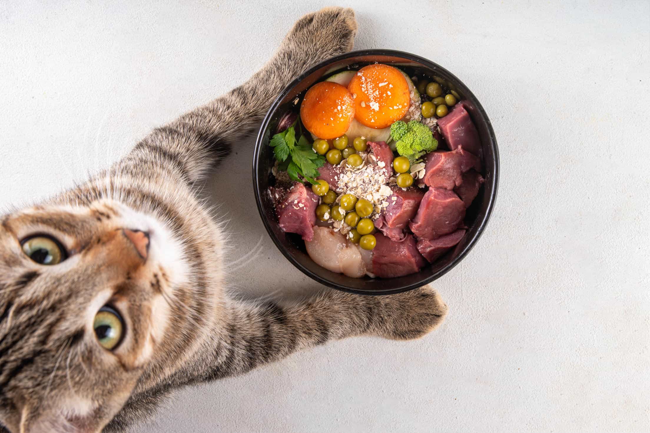 Vì sao nhà nhập khẩu Pet Food không nên bán lẻ trực tiếp